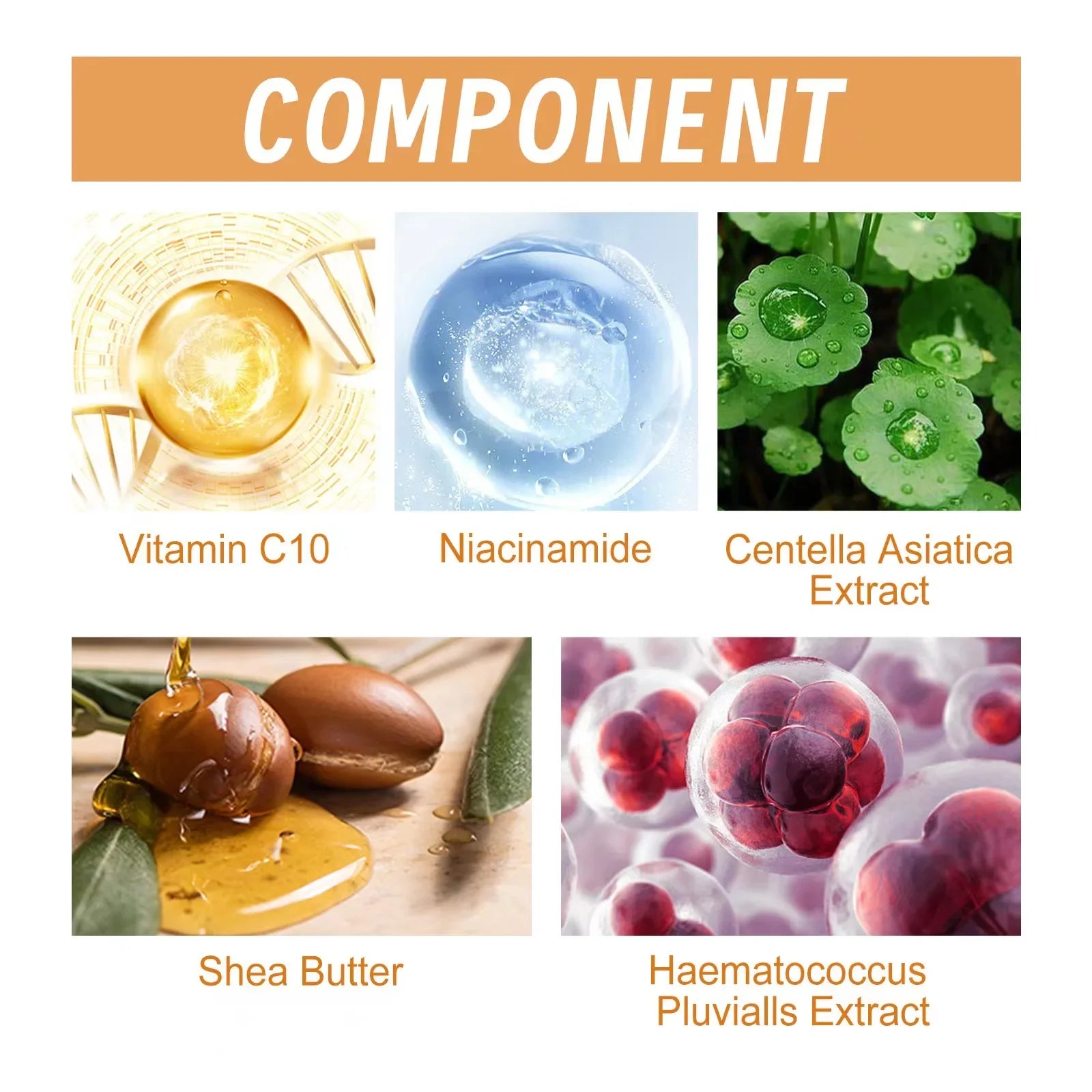 Radiance+ Vitamin C Anti-Wrinkle Serum